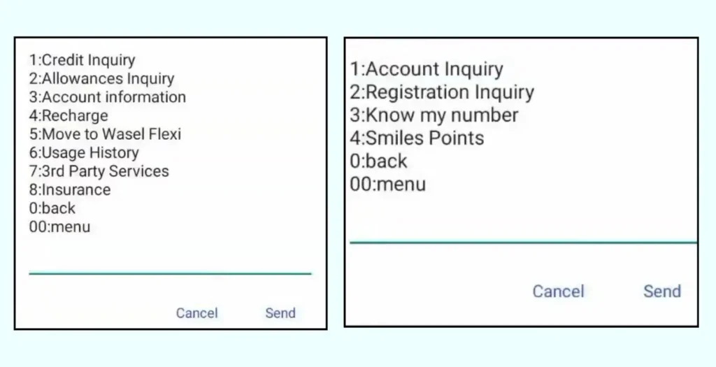 step 2 and 3 to check etisalat balance